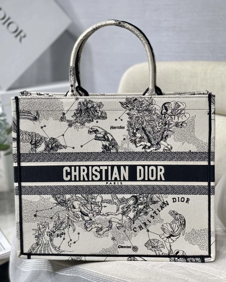 75604 GoAnywhere Dior Christian Bags Shopping 0719